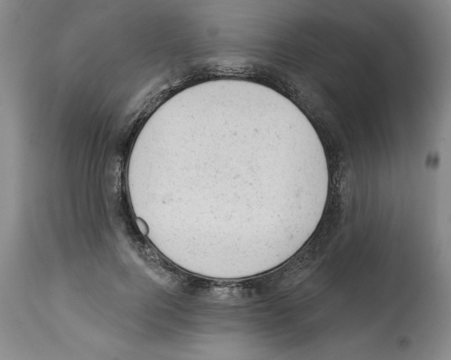 X0000112920744200910051107