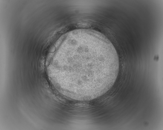 X0000112920745200910051107