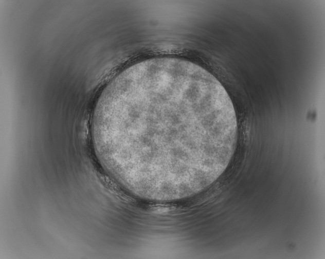 X0000112920746200910051107