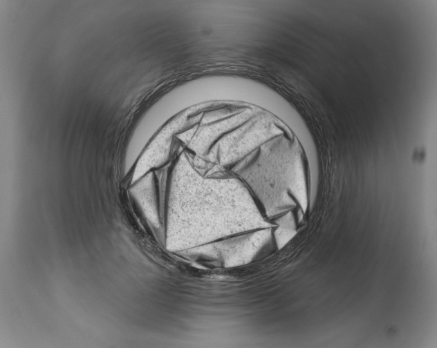 X0000112920748200910051107