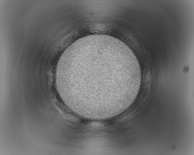 X0000112920749200910051107