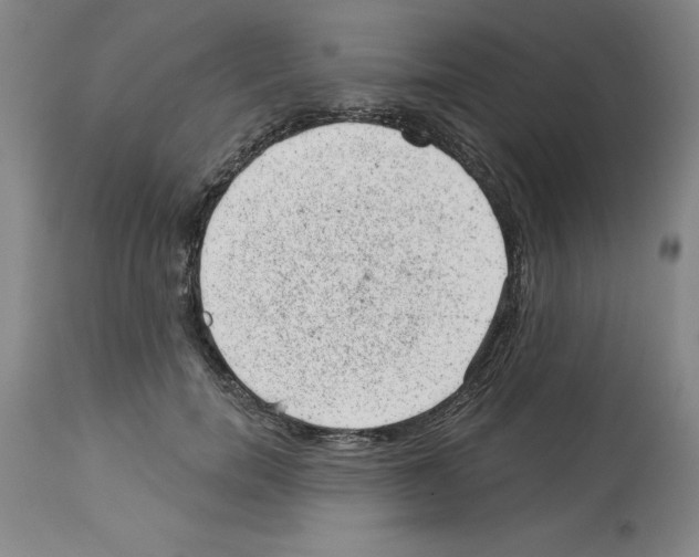 X0000112920750200910051107