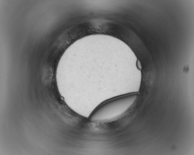 X0000112920752200910051107