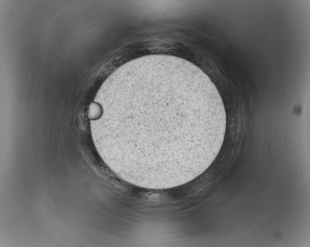 X0000112920755200910051108