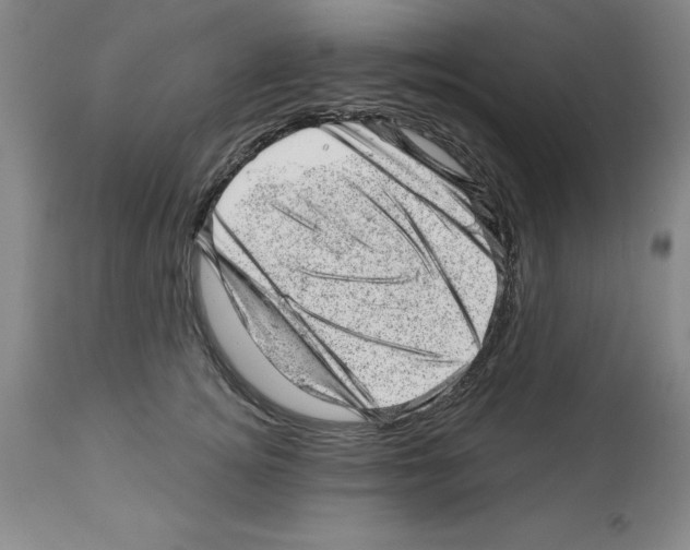 X0000112920756200910051108