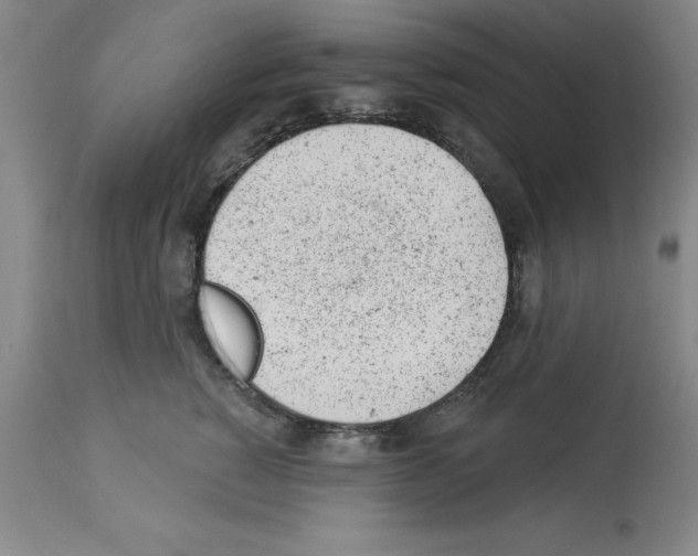 X0000112920760200910051108
