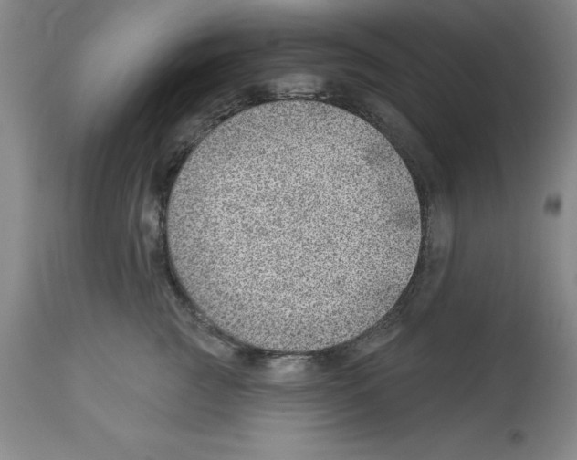 X0000112920761200910051108