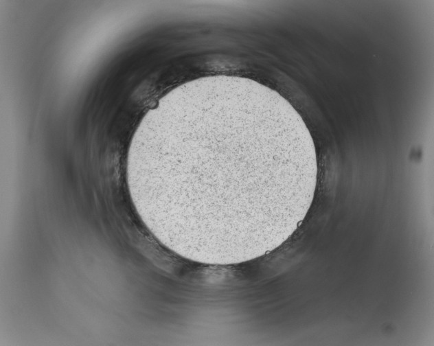 X0000112920762200910051108
