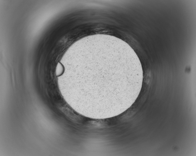 X0000112920763200910051108