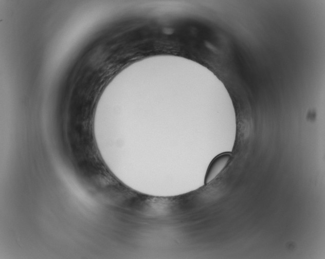 X0000112920766200910051108