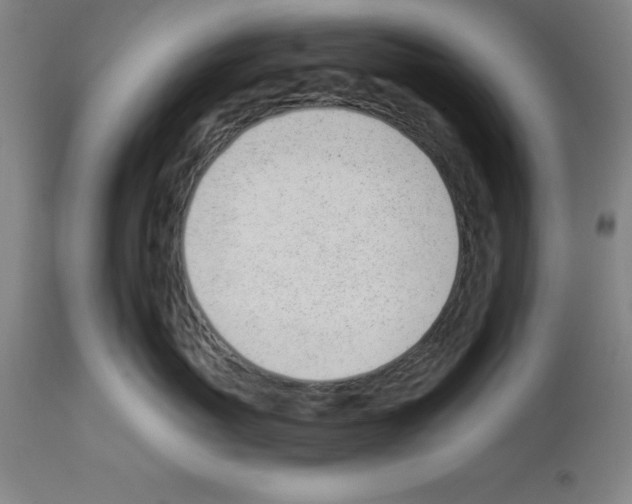 X0000112920767200910051108
