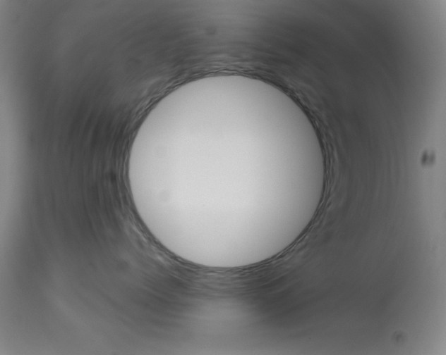 X0000112920768200910051108