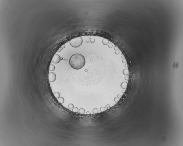 X0000112920769200910051107