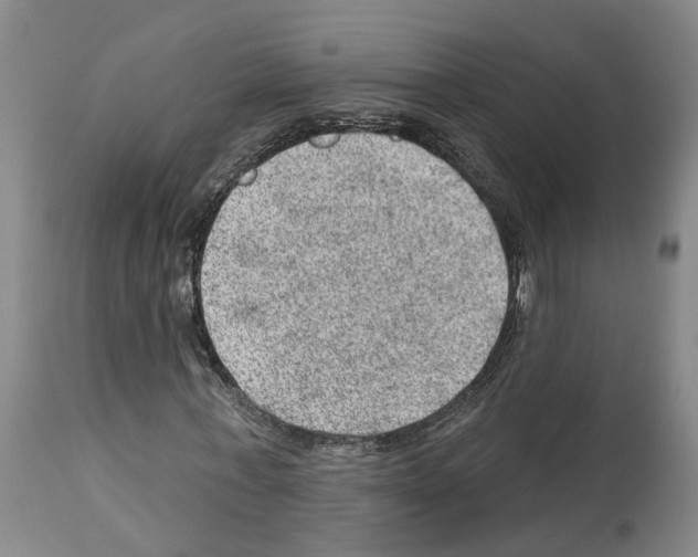 X0000112920771200910051107