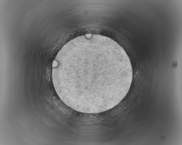 X0000112920772200910051107