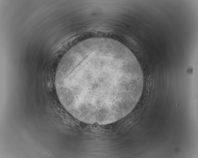 X0000112920774200910051107