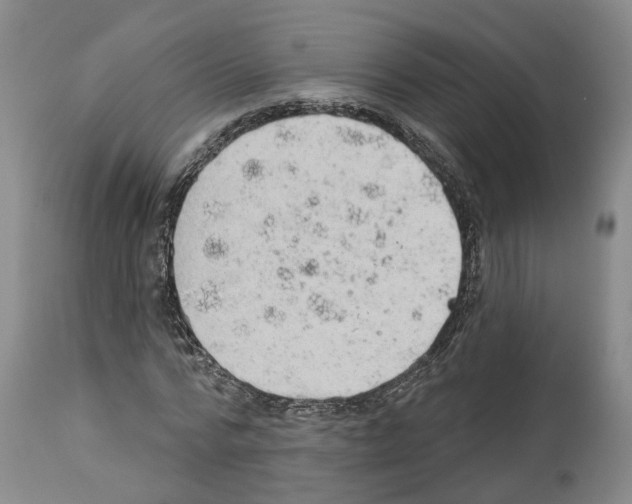 X0000112920776200910051107