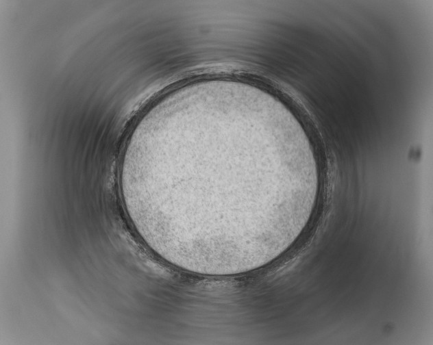X0000112920778200910051107