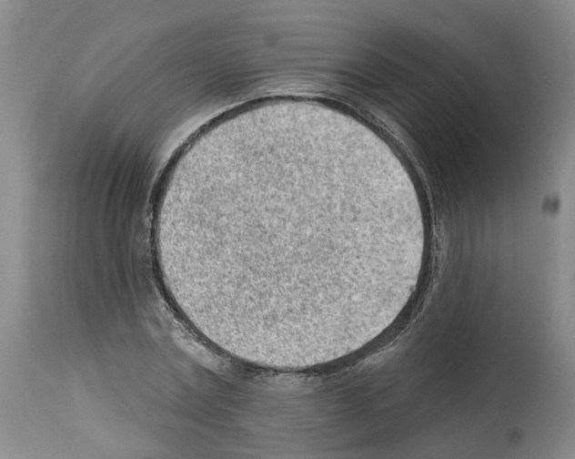 X0000112920779200910051107