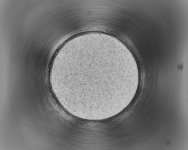 X0000112920780200910051107