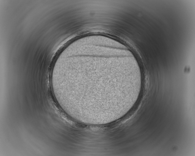 X0000112920782200910051107