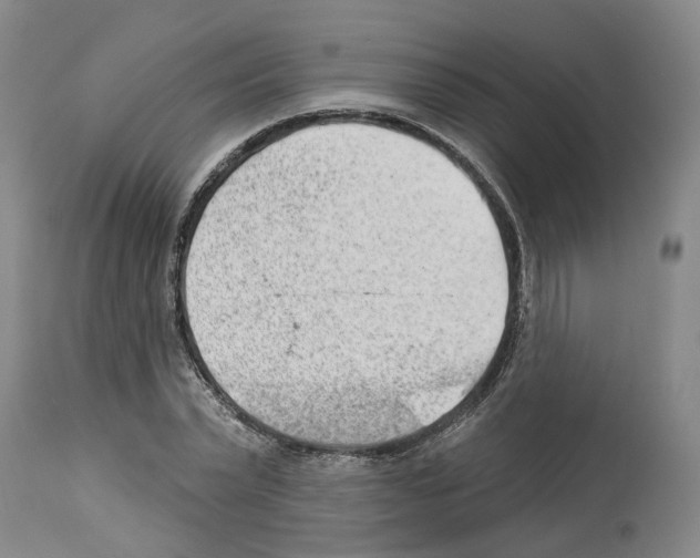 X0000112920783200910051107