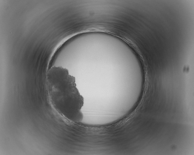 X0000112920784200910051107