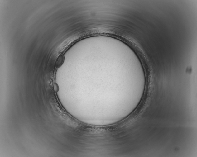 X0000112920785200910051107