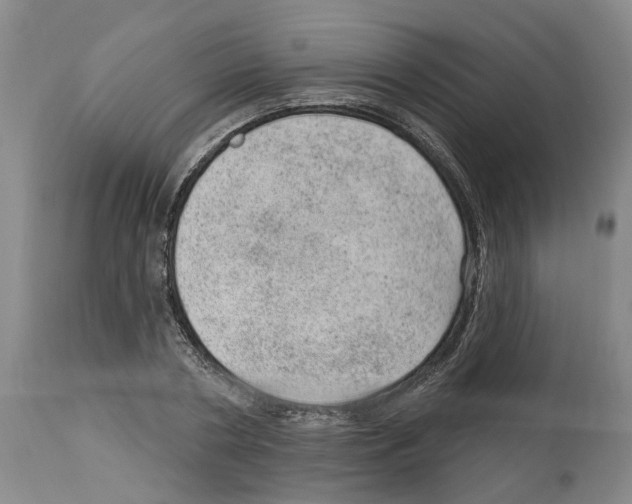 X0000112920786200910051107