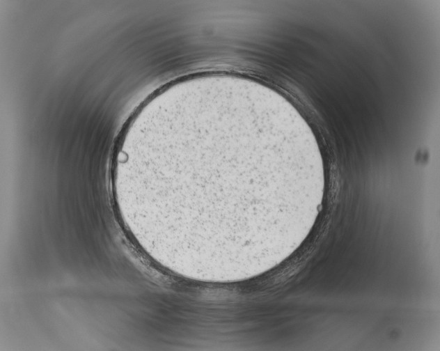 X0000112920788200910051107