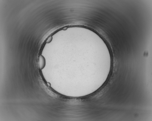 X0000112920789200910051107