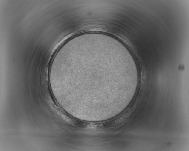 X0000112920790200910051107