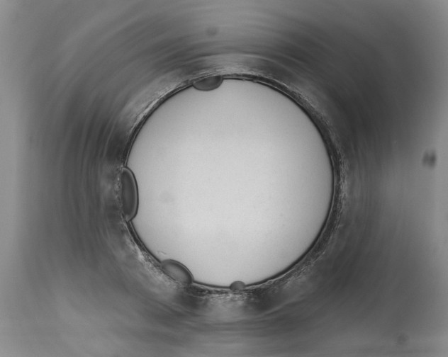 X0000112920793200910051107