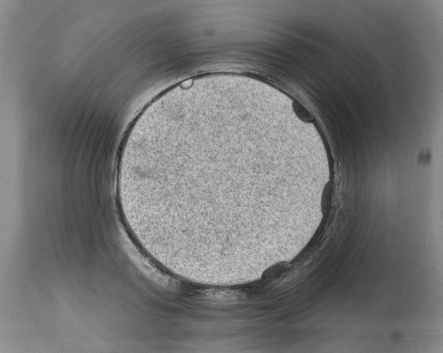 X0000112920795200910051107