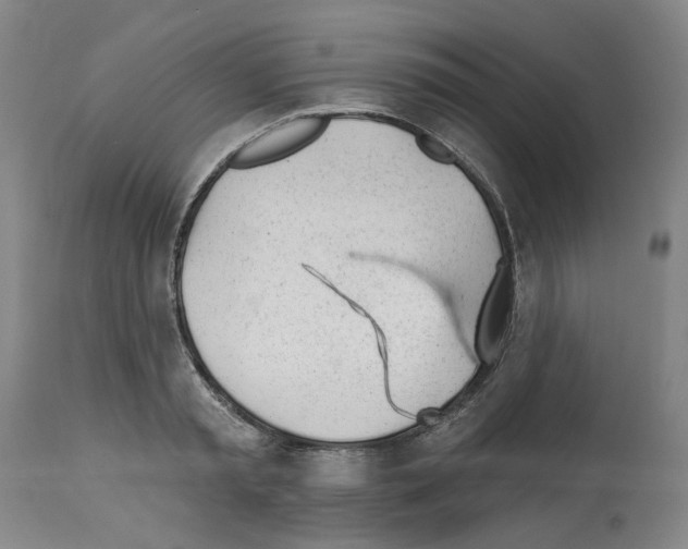 X0000112920797200910051107