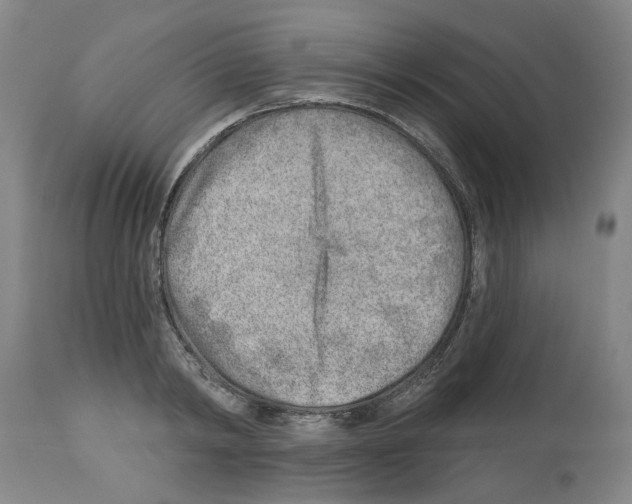 X0000112920798200910051107