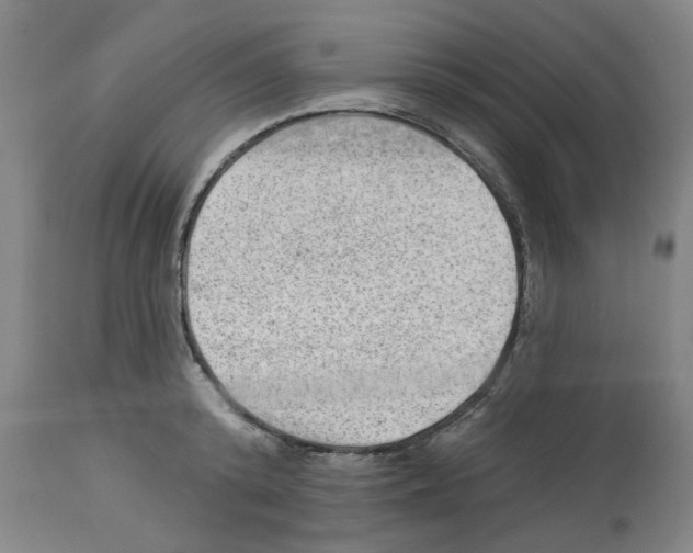 X0000112920800200910051107