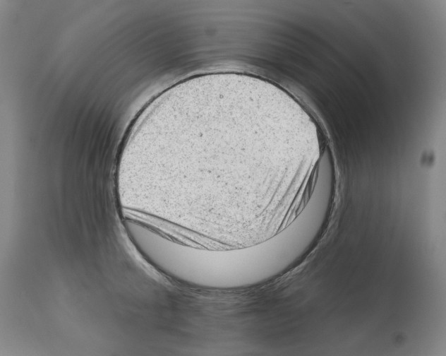 X0000112920805200910051106