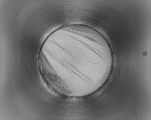 X0000112920806200910051106