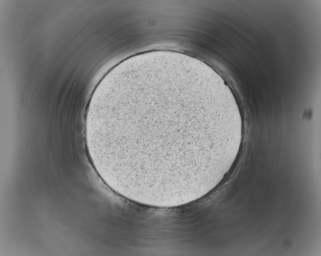 X0000112920808200910051106