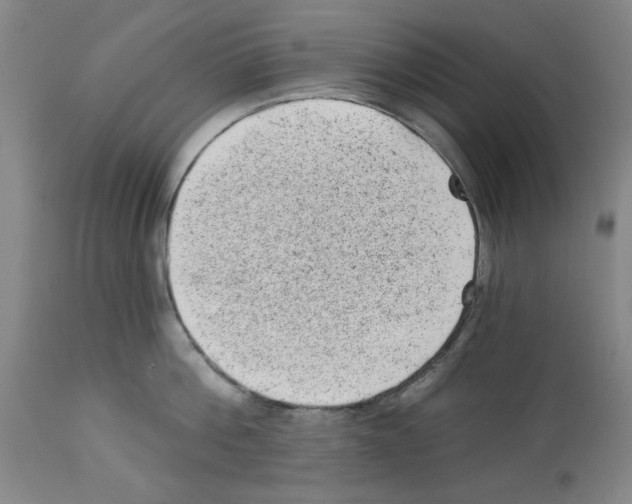 X0000112920812200910051106