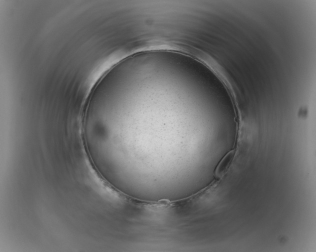 X0000112920813200910051106