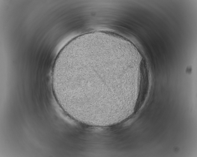 X0000112920814200910051106
