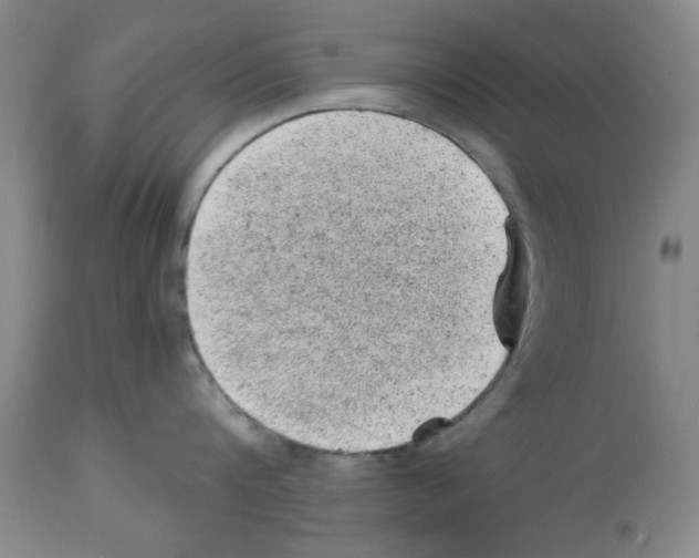 X0000112920816200910051106