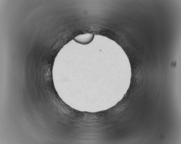 X0000112920818200910051105