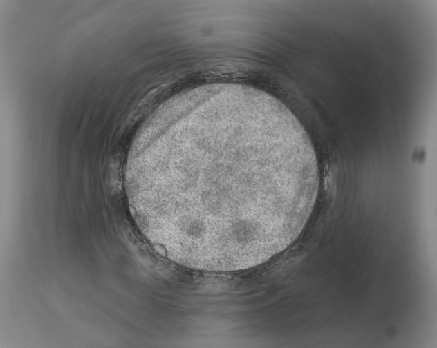 X0000112920819200910051105