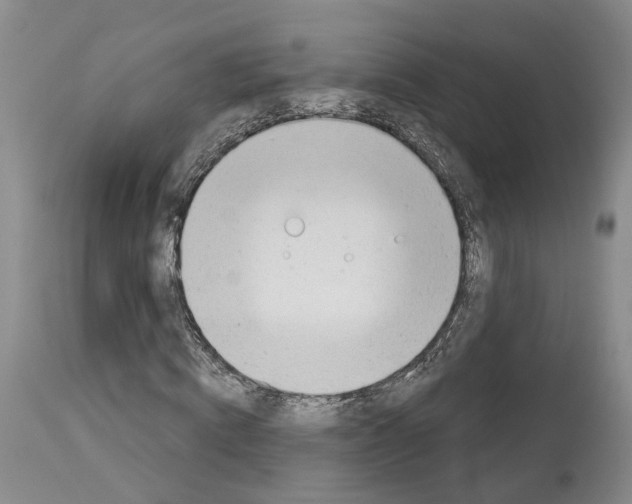 X0000112920820200910051105