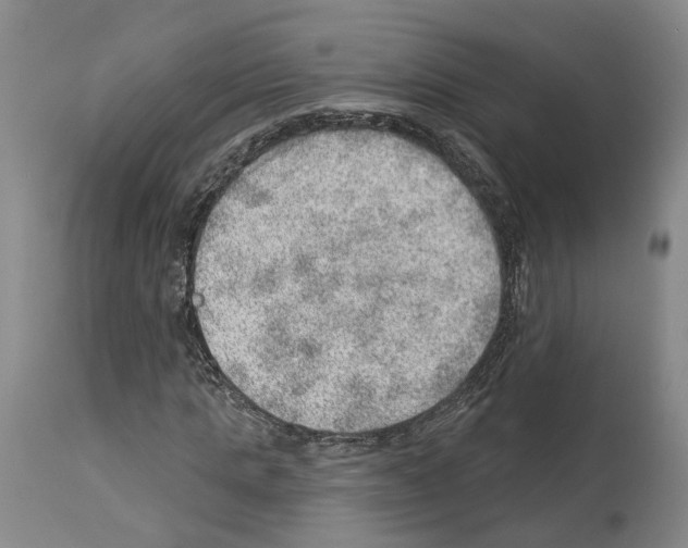X0000112920821200910051105