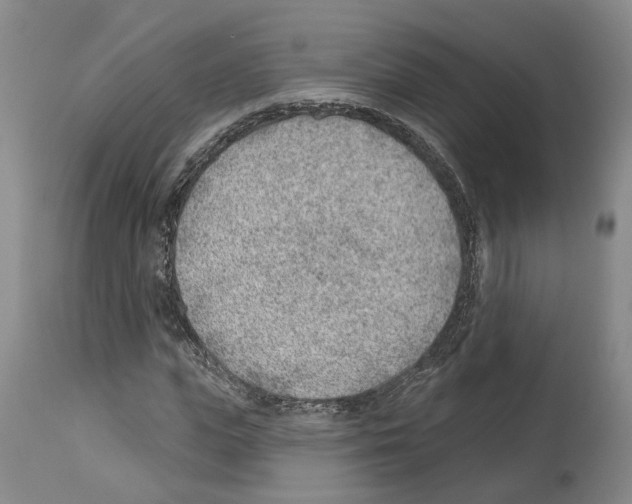 X0000112920823200910051105