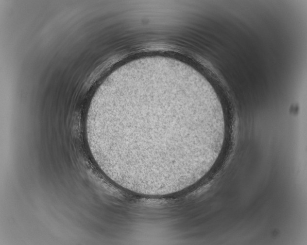 X0000112920825200910051105